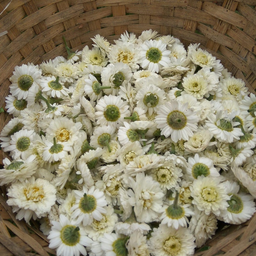 Camomille Nature 15 g