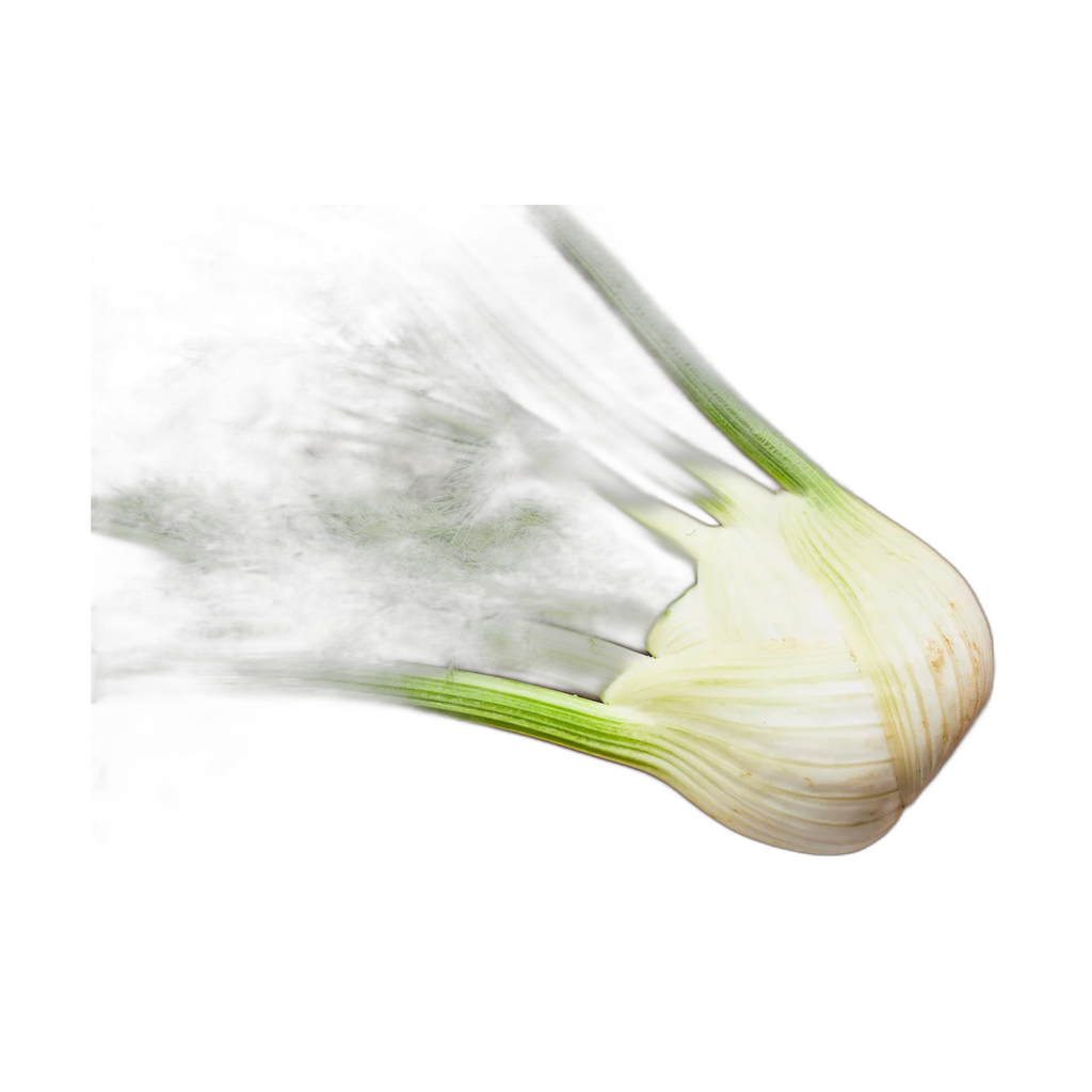 Fenouil