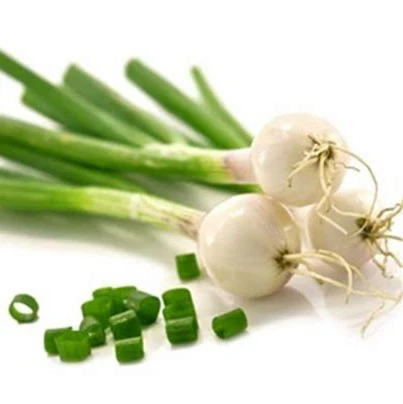 Ognion vert (Piéce)