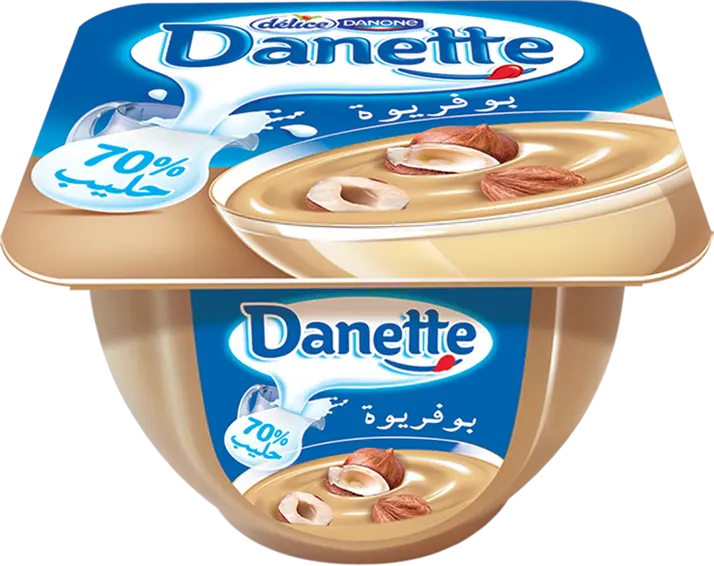 Danette Noisette Délice 100g 