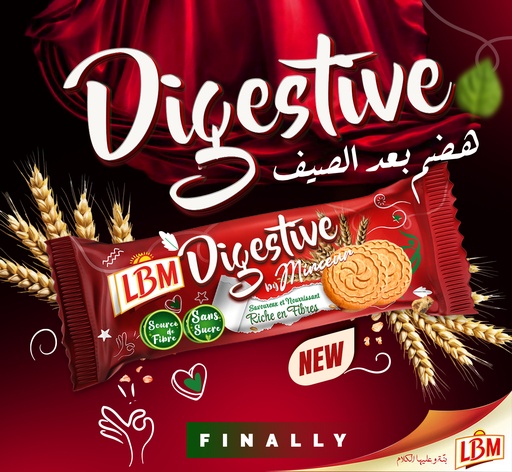 Biscuits Lbm Digestive Sans Sucre 100g