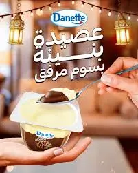 Danette Assida Noisette 95g 