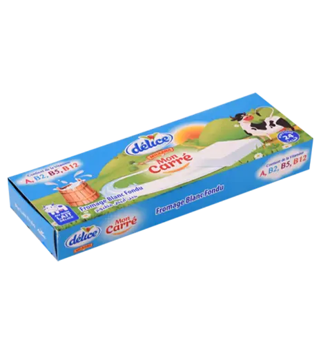 Fromage Carré Milkana Délice 24Pcs