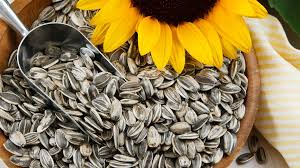 Graines de tournesol 100g