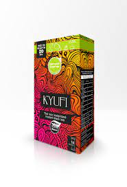 Kyufi Thé Noir Sans Sucre à la menthe 10 Piéces 