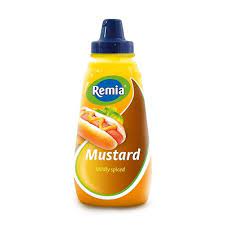 Moutarde Remia 350ml