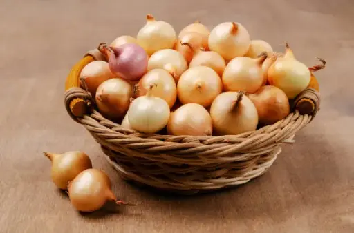 Petits Oignons