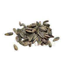  Croc Snacks Kloub (Sac de Tournesol)  50g