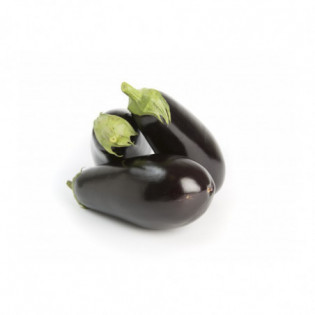 Aubergine