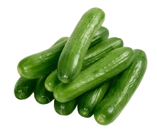 Concombre