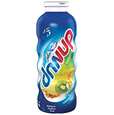 Dunup Tropical Mix Délice 260 g