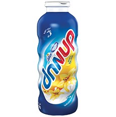 Dunup Vanille Délice 260g