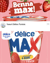 Délice Yaourt Max Fruits des Bois 330g