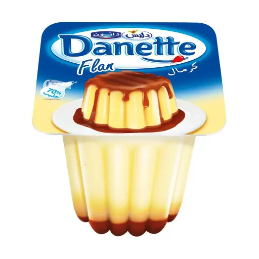 Flan Danette Délice 95g