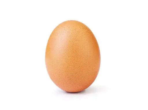 Oeuf