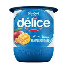 Yaourt Fruits Exotiques Délice 110g
