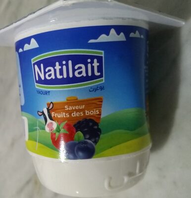 Yaourt Fruits des Bois Natilait 110g