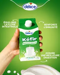 Kéfir Aboir Délice Gout Frais 270g